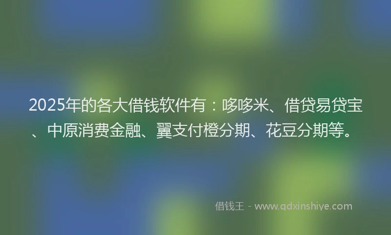 2025年的各大借钱软件有：哆哆米、借贷易贷宝、中原消费金融、翼支付橙分期、花豆分期等。