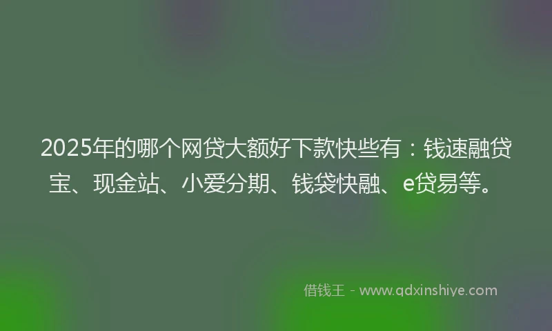 2025年的哪个网贷大额好下款快些有：钱速融贷宝、现金站、小爱分期、钱袋快融、e贷易等。