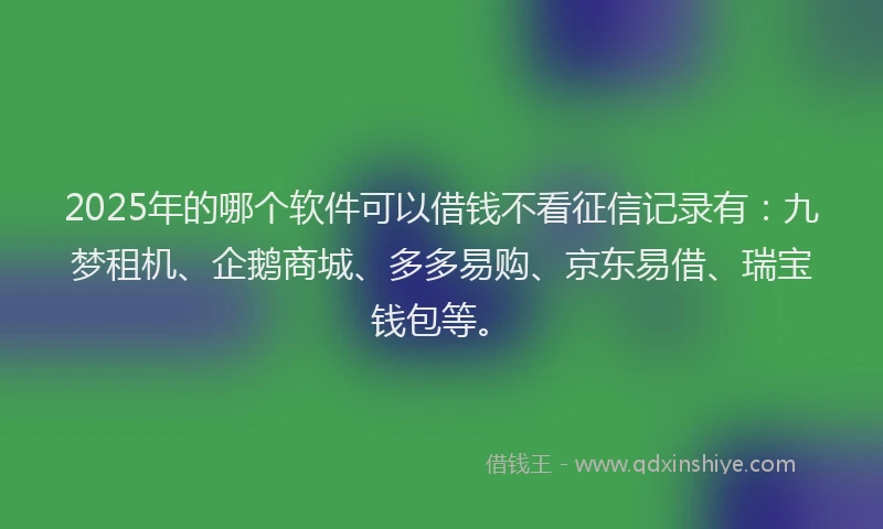 2025年的哪个软件可以借钱不看征信记录有：九梦租机、企鹅商城、多多易购、京东易借、瑞宝钱包等。