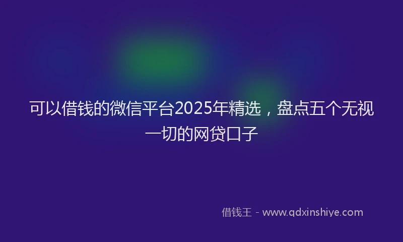 可以借钱的微信平台2025年精选，盘点五个无视一切的网贷口子
