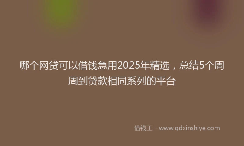 哪个网贷可以借钱急用2025年精选，总结5个周周到贷款相同系列的平台