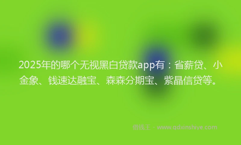 2025年的哪个无视黑白贷款app有：省薪贷、小金象、钱速达融宝、森森分期宝、紫晶信贷等。