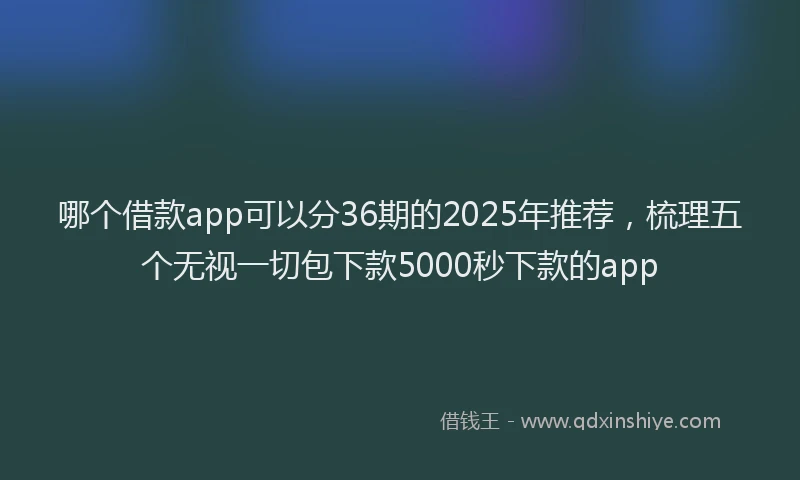 哪个借款app可以分36期的2025年推荐，梳理五个无视一切包下款5000秒下款的app