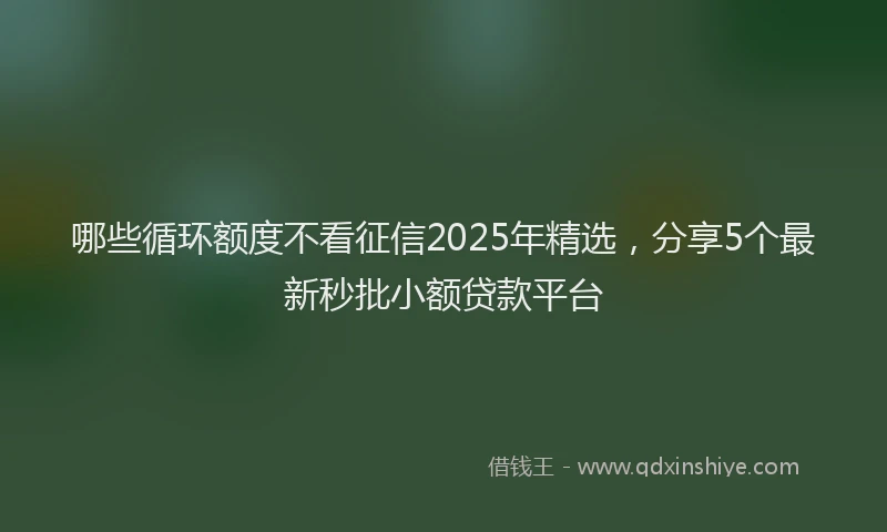 哪些循环额度不看征信2025年精选，分享5个最新秒批小额贷款平台