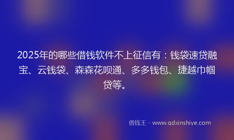 2025年的哪些借钱软件不上征信有：钱袋速贷融宝、云钱袋、森森花呗通、多多钱包、捷越巾帼贷等。