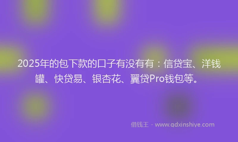 2025年的包下款的口子有没有有：信贷宝、洋钱罐、快贷易、银杏花、翼贷Pro钱包等。
