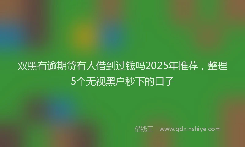 双黑有逾期贷有人借到过钱吗2025年推荐，整理5个无视黑户秒下的口子