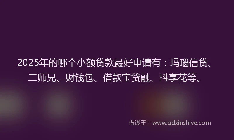2025年的哪个小额贷款最好申请有：玛瑙信贷、二师兄、财钱包、借款宝贷融、抖享花等。