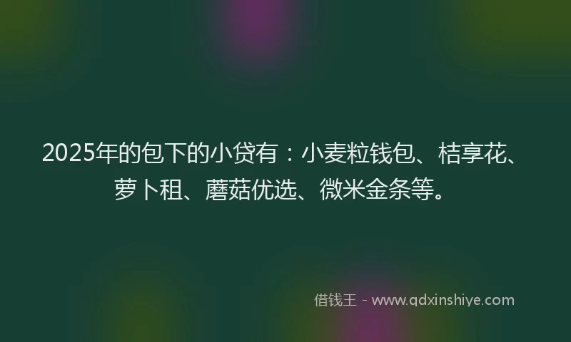 2025年的包下的小贷有：小麦粒钱包、桔享花、萝卜租、蘑菇优选、微米金条等。