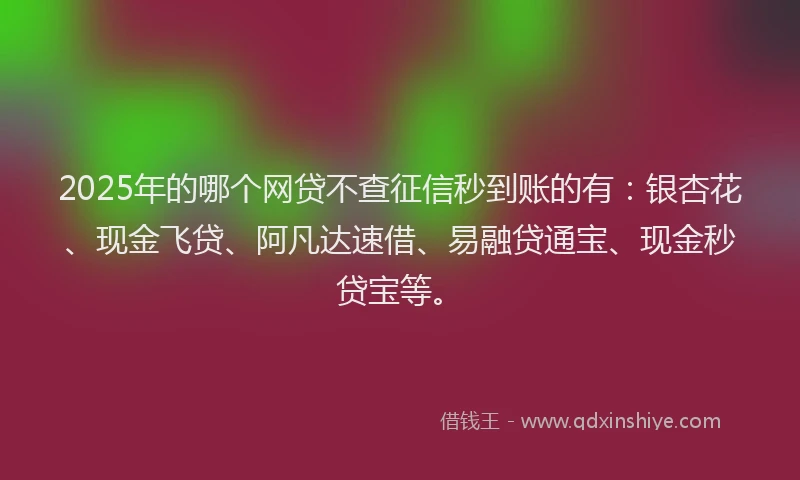 2025年的哪个网贷不查征信秒到账的有：银杏花、现金飞贷、阿凡达速借、易融贷通宝、现金秒贷宝等。