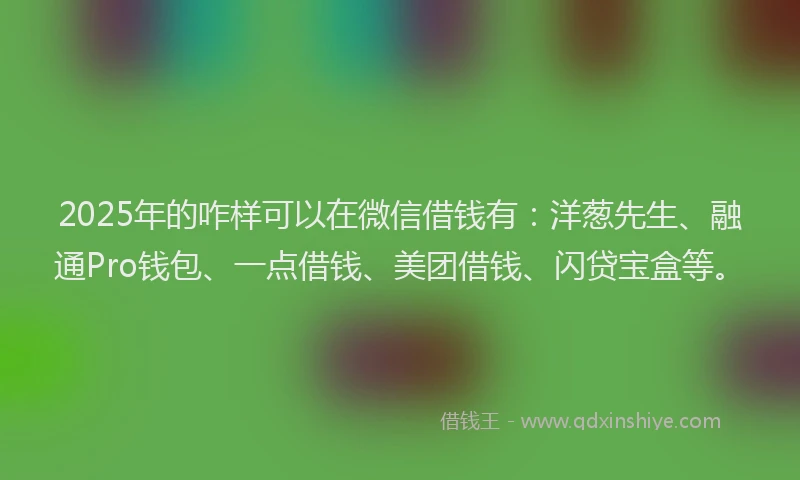 2025年的咋样可以在微信借钱有：洋葱先生、融通Pro钱包、一点借钱、美团借钱、闪贷宝盒等。