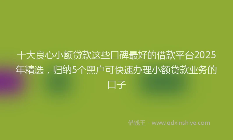 十大良心小额贷款这些口碑最好的借款平台2025年精选，归纳5个黑户可快速办理小额贷款业务的口子