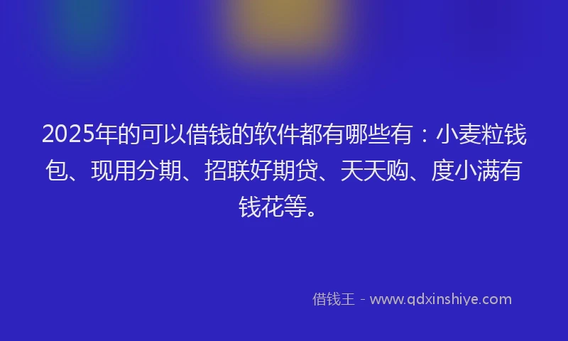 2025年的可以借钱的软件都有哪些有：小麦粒钱包、现用分期、招联好期贷、天天购、度小满有钱花等。