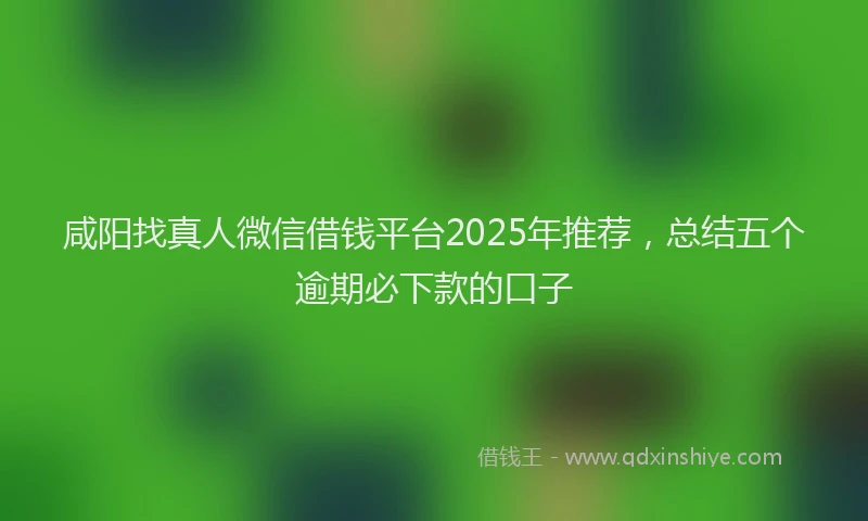 咸阳找真人微信借钱平台2025年推荐，总结五个逾期必下款的口子