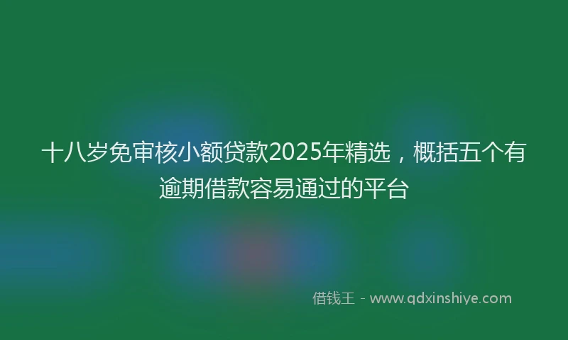 十八岁免审核小额贷款2025年精选，概括五个有逾期借款容易通过的平台