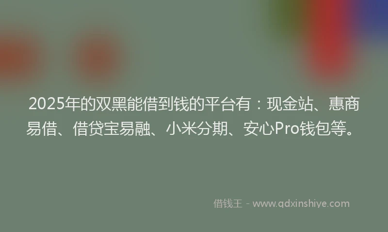 2025年的双黑能借到钱的平台有：现金站、惠商易借、借贷宝易融、小米分期、安心Pro钱包等。
