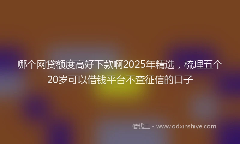 哪个网贷额度高好下款啊2025年精选，梳理五个20岁可以借钱平台不查征信的口子