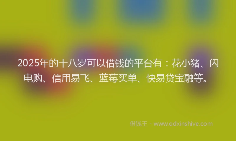 2025年的十八岁可以借钱的平台有：花小猪、闪电购、信用易飞、蓝莓买单、快易贷宝融等。