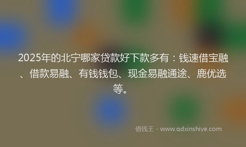 2025年的北宁哪家贷款好下款多有：钱速借宝融、借款易融、有钱钱包、现金易融通途、鹿优选等。