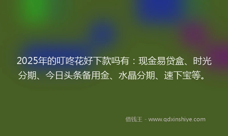 2025年的叮咚花好下款吗有：现金易贷盒、时光分期、今日头条备用金、水晶分期、速下宝等。