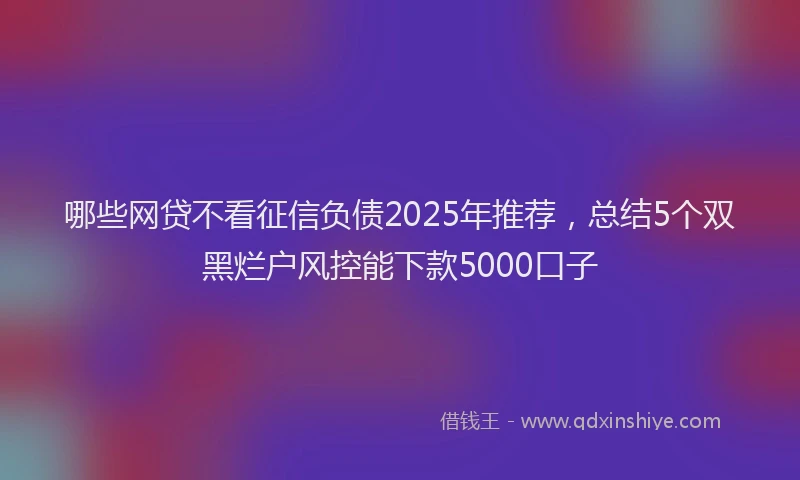 哪些网贷不看征信负债2025年推荐，总结5个双黑烂户风控能下款5000口子