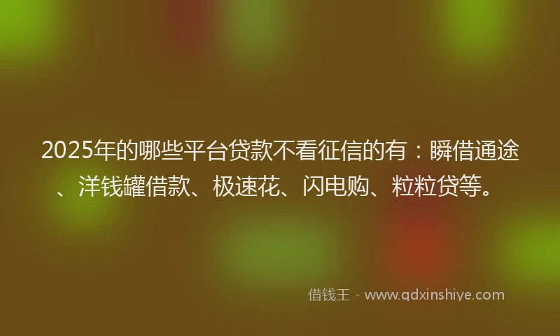 2025年的哪些平台贷款不看征信的有：瞬借通途、洋钱罐借款、极速花、闪电购、粒粒贷等。