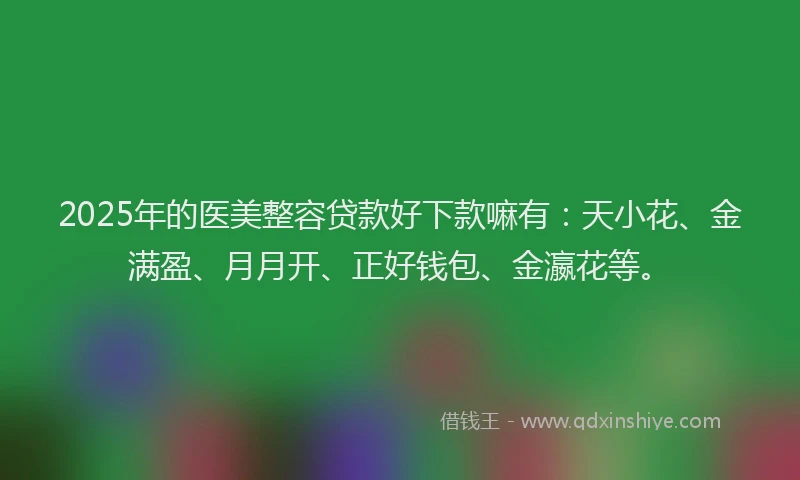 2025年的医美整容贷款好下款嘛有：天小花、金满盈、月月开、正好钱包、金瀛花等。