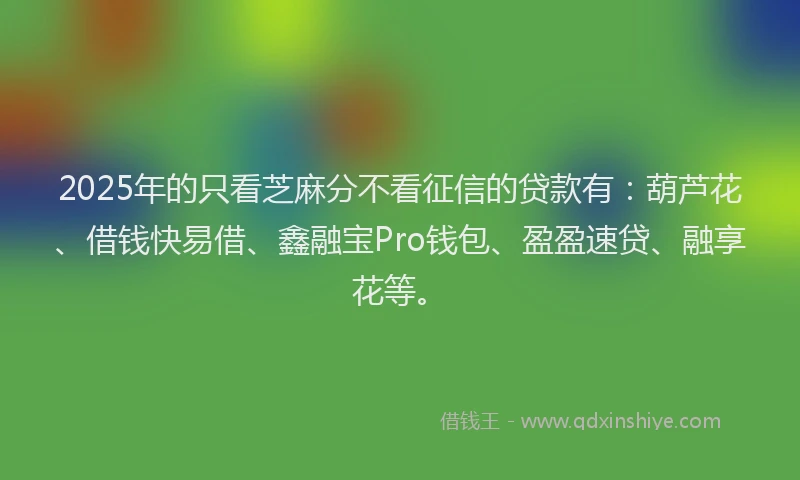 2025年的只看芝麻分不看征信的贷款有：葫芦花、借钱快易借、鑫融宝Pro钱包、盈盈速贷、融享花等。