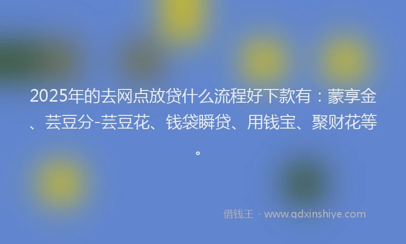 2025年的去网点放贷什么流程好下款有：蒙享金、芸豆分-芸豆花、钱袋瞬贷、用钱宝、聚财花等。