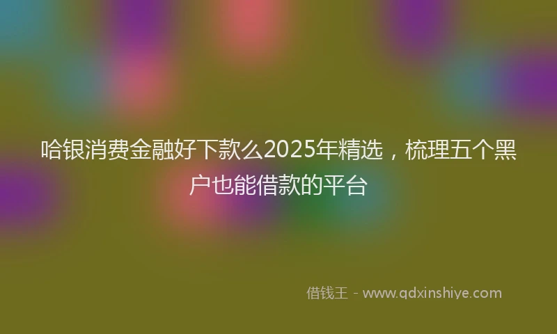 哈银消费金融好下款么2025年精选，梳理五个黑户也能借款的平台
