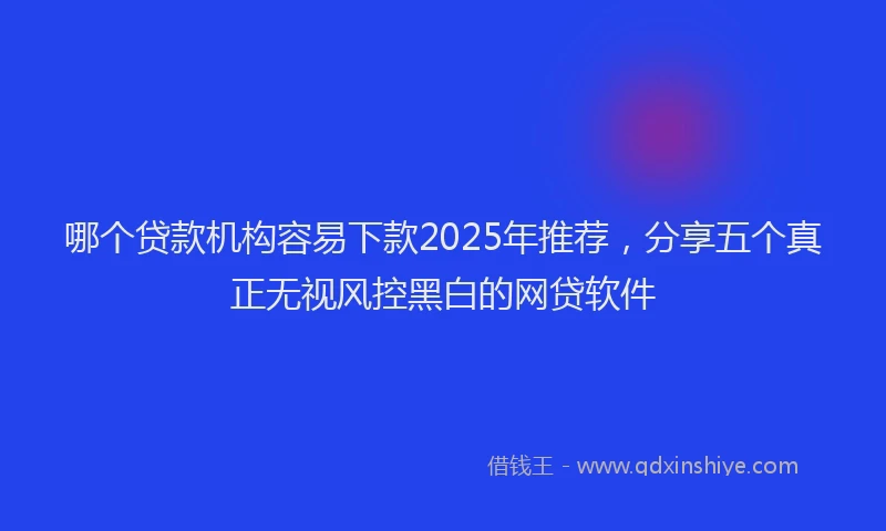哪个贷款机构容易下款2025年推荐，分享五个真正无视风控黑白的网贷软件