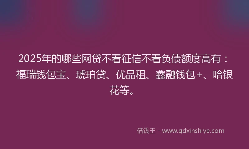 2025年的哪些网贷不看征信不看负债额度高有：福瑞钱包宝、琥珀贷、优品租、鑫融钱包+、哈银花等。