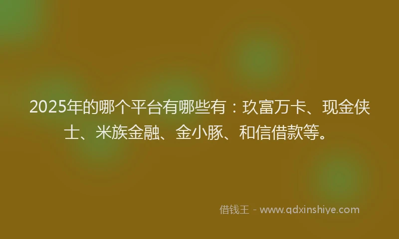 2025年的哪个平台有哪些有：玖富万卡、现金侠士、米族金融、金小豚、和信借款等。