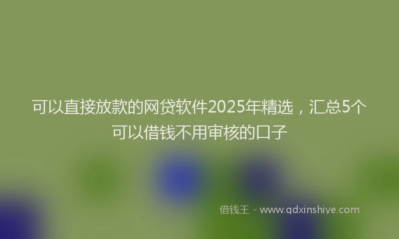 可以直接放款的网贷软件2025年精选，汇总5个可以借钱不用审核的口子