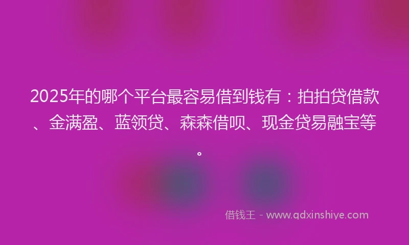 2025年的哪个平台最容易借到钱有：拍拍贷借款、金满盈、蓝领贷、森森借呗、现金贷易融宝等。