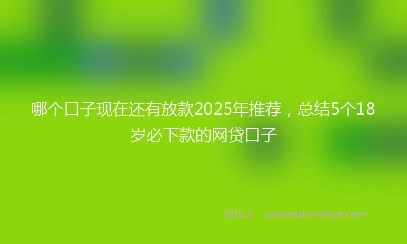 哪个口子现在还有放款2025年推荐，总结5个18岁必下款的网贷口子