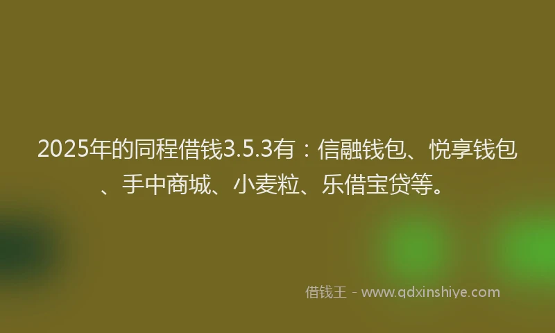 2025年的同程借钱3.5.3有：信融钱包、悦享钱包、手中商城、小麦粒、乐借宝贷等。