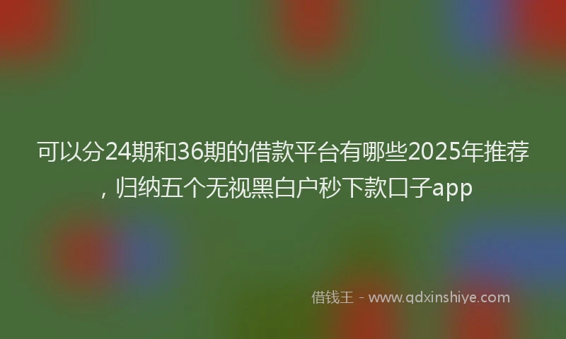 可以分24期和36期的借款平台有哪些2025年推荐，归纳五个无视黑白户秒下款口子app