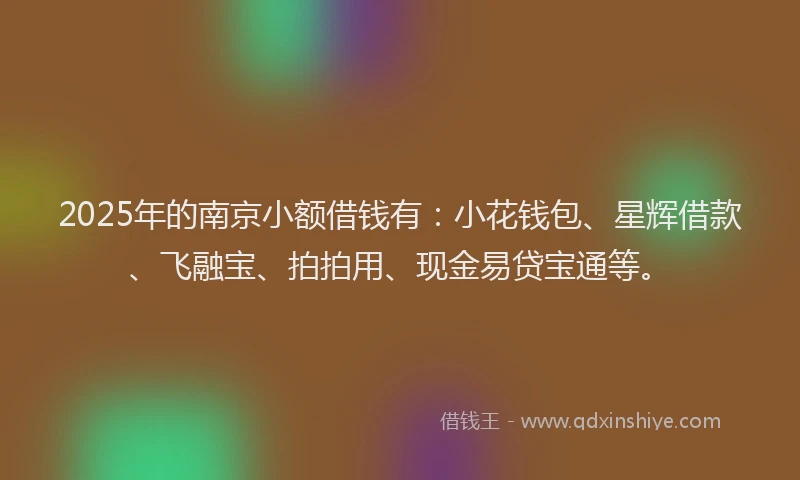2025年的南京小额借钱有：小花钱包、星辉借款、飞融宝、拍拍用、现金易贷宝通等。