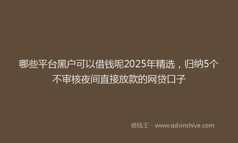 哪些平台黑户可以借钱呢2025年精选，归纳5个不审核夜间直接放款的网贷口子