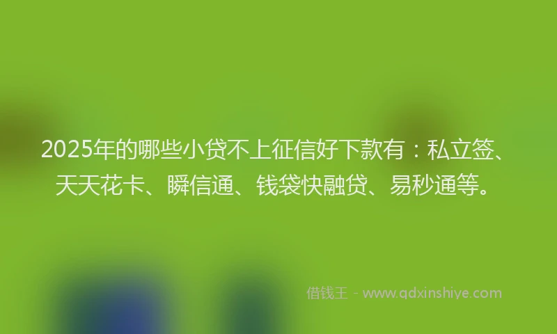 2025年的哪些小贷不上征信好下款有：私立签、天天花卡、瞬信通、钱袋快融贷、易秒通等。