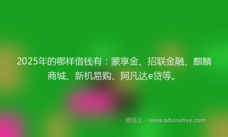 2025年的哪样借钱有：蒙享金、招联金融、麒麟商城、新机易购、阿凡达e贷等。