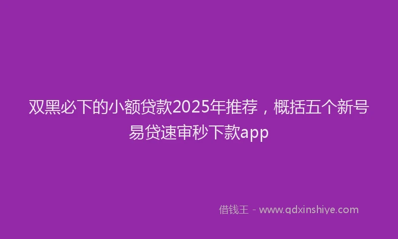 双黑必下的小额贷款2025年推荐，概括五个新号易贷速审秒下款app
