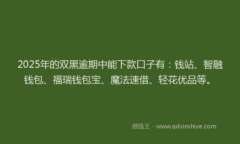 2025年的双黑逾期中能下款口子有：钱站、智融钱包、福瑞钱包宝、魔法速借、轻花优品等。