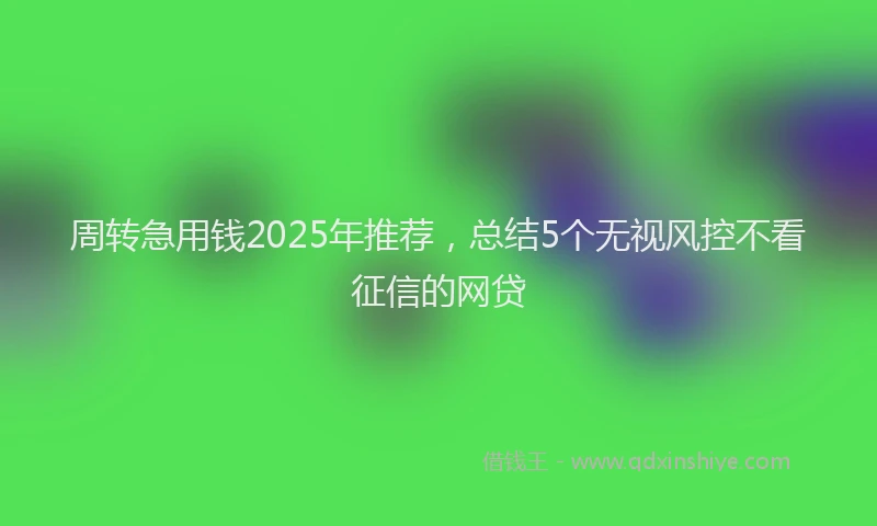 周转急用钱2025年推荐，总结5个无视风控不看征信的网贷
