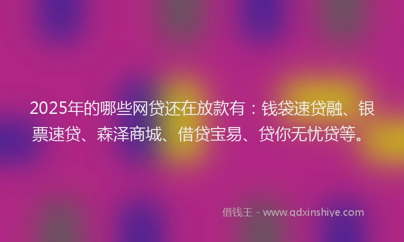 2025年的哪些网贷还在放款有：钱袋速贷融、银票速贷、森泽商城、借贷宝易、贷你无忧贷等。