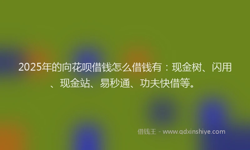 2025年的向花呗借钱怎么借钱有：现金树、闪用、现金站、易秒通、功夫快借等。