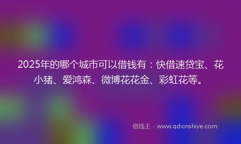 2025年的哪个城市可以借钱有：快借速贷宝、花小猪、爱鸿森、微博花花金、彩虹花等。