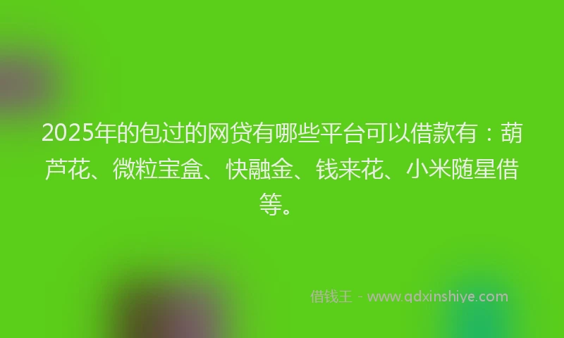 2025年的包过的网贷有哪些平台可以借款有：葫芦花、微粒宝盒、快融金、钱来花、小米随星借等。