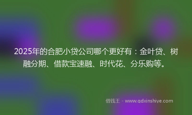 2025年的合肥小贷公司哪个更好有：金叶贷、树融分期、借款宝速融、时代花、分乐购等。